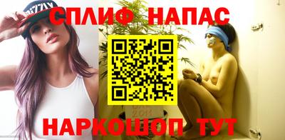 дживик Можга