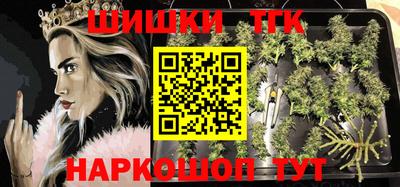 дживик Можга