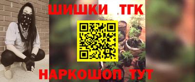 дживик Можга