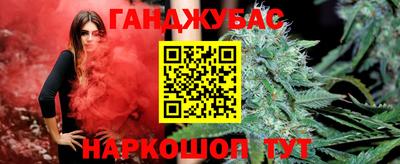 гидра Моздок