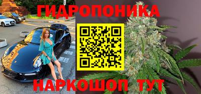 дживик Можга