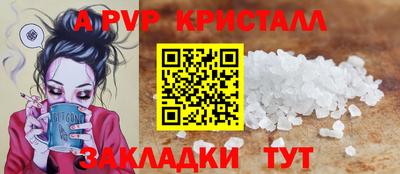 гидра Моздок