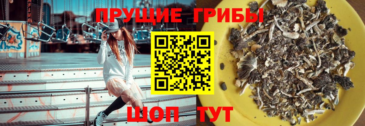 Галлюциногенные грибы Cubensis Сургут